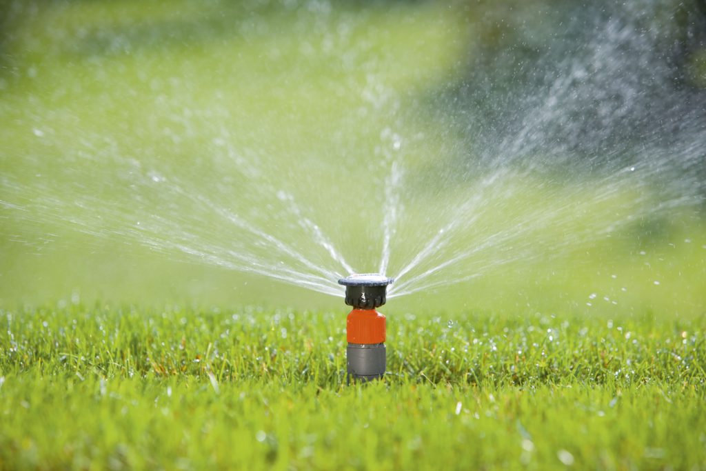 Bewässerungsanlage installieren_Wassersprinkler